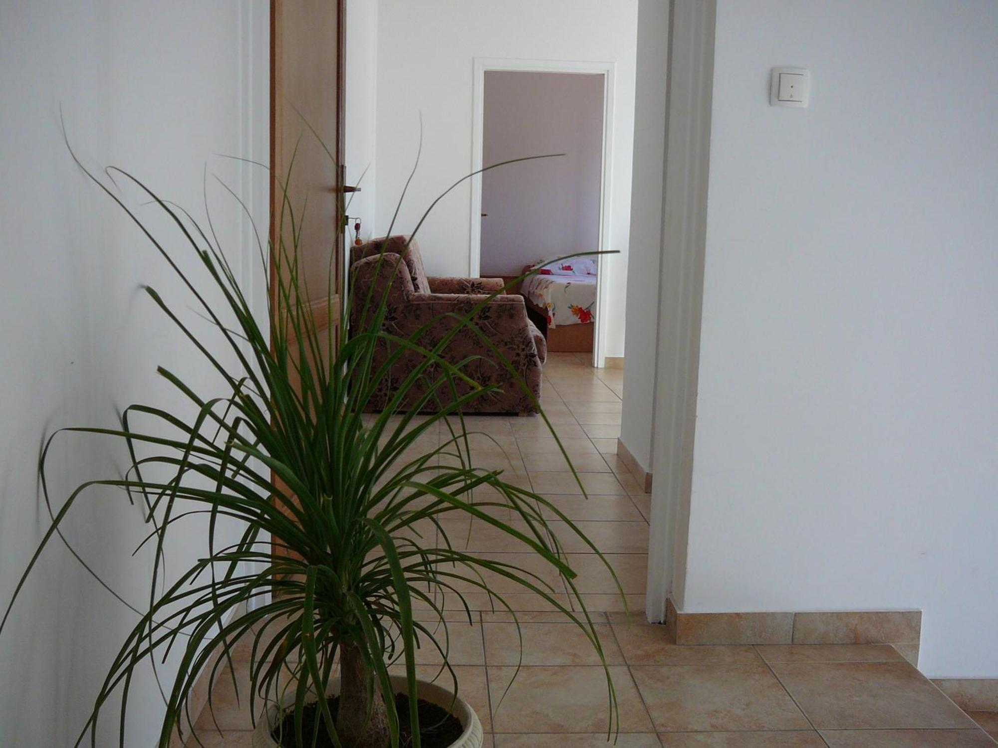 Perica Apartments Zadar Buitenkant foto